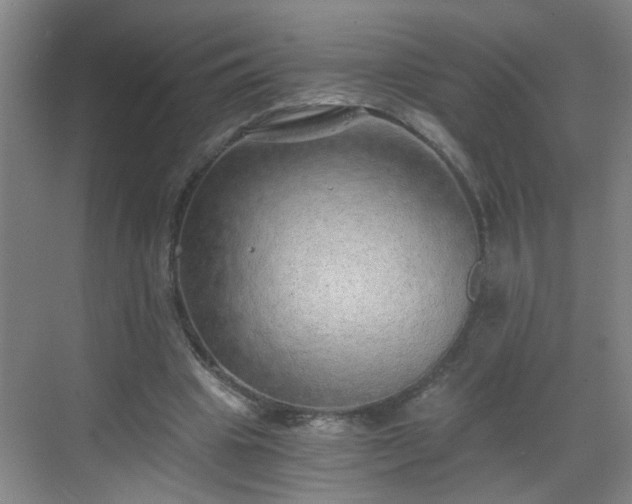 X0000068750441200605051544