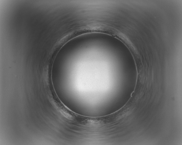 X0000068750442200605051544