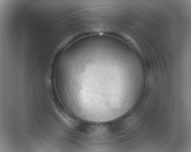 X0000068750443200605051544