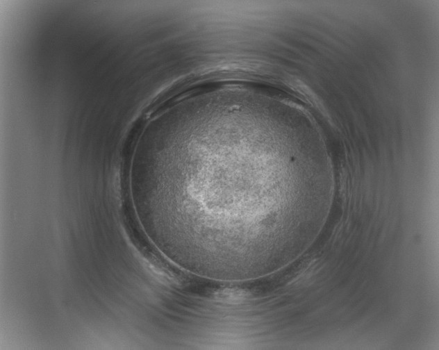 X0000068750444200605051544