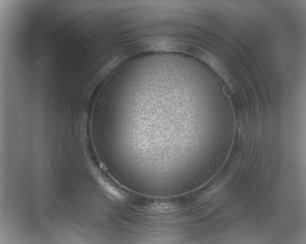 X0000068750445200605051544