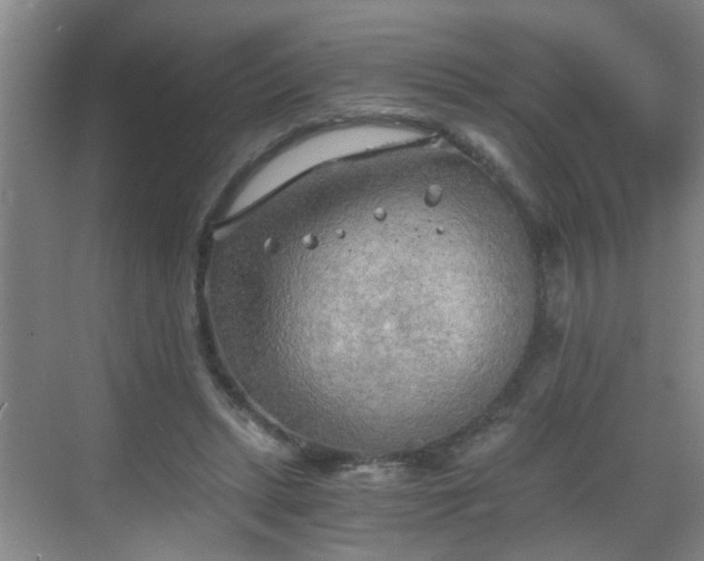 X0000068750447200605051544