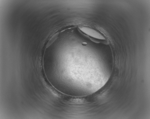 X0000068750449200605051544