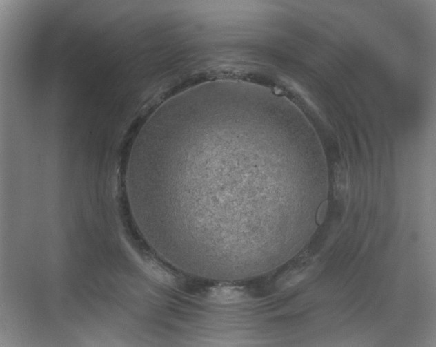 X0000068750451200605051544