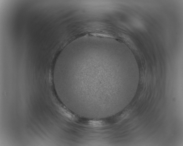 X0000068750457200605051544