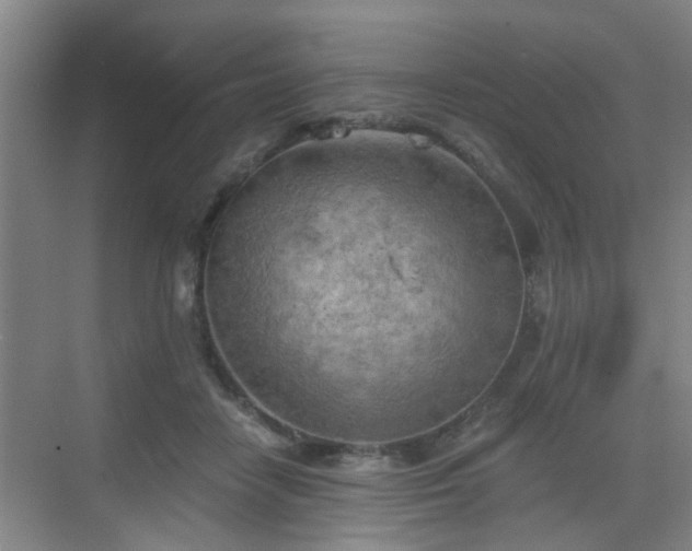 X0000068750458200605051544