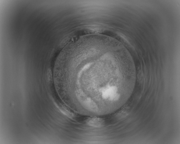 X0000068750459200605051544