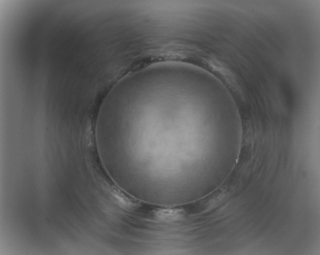 X0000068750465200605051544