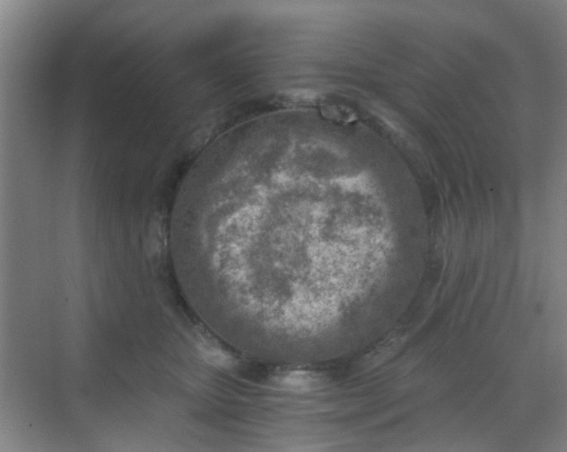 X0000068750467200605051544