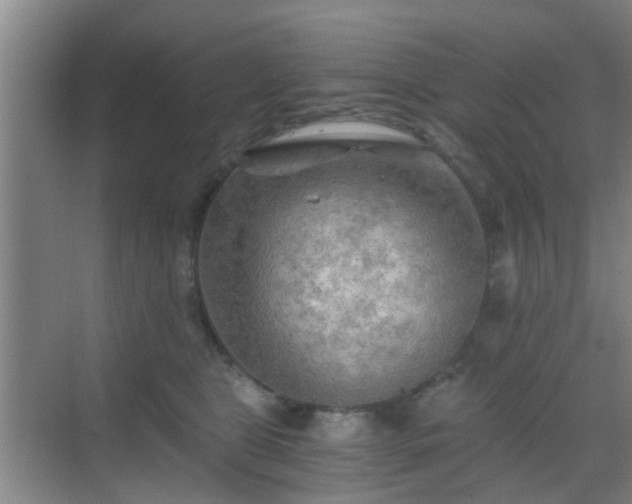 X0000068750469200605051544