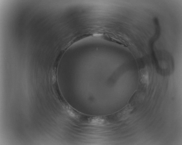 X0000068750471200605051544