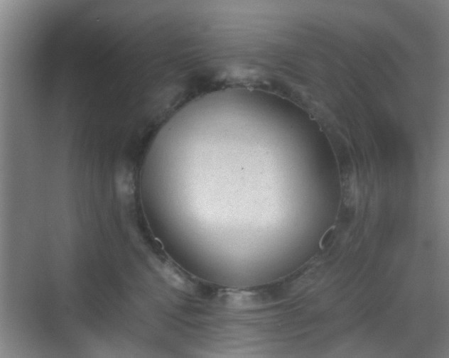 X0000068750472200605051544