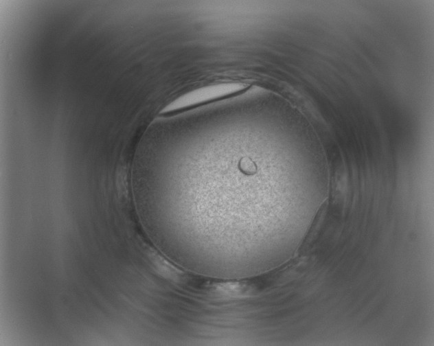 X0000068750473200605051544