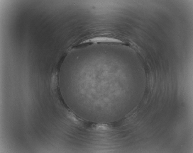 X0000068750475200605051544