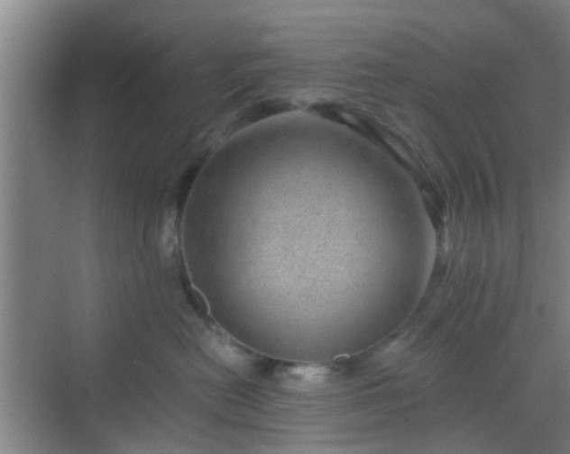 X0000068750478200605051545