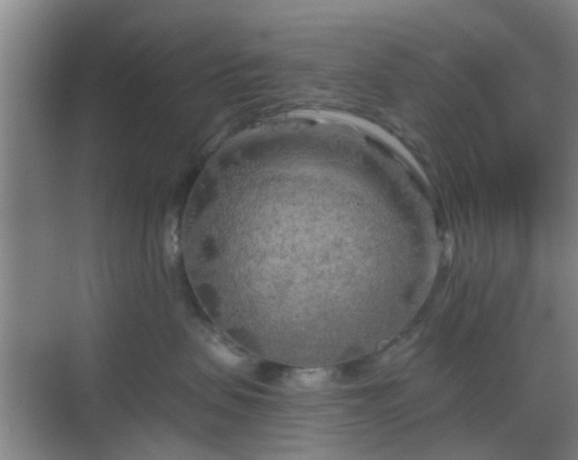 X0000068750479200605051545