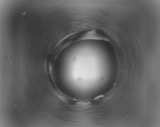 X0000068750480200605051545