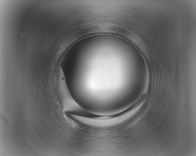 X0000068750481200605051544