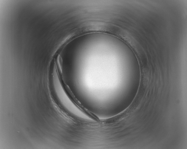 X0000068750482200605051544