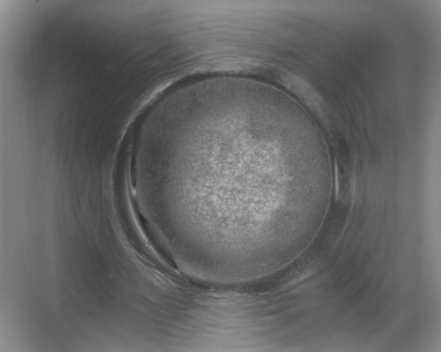 X0000068750483200605051544