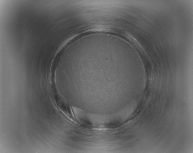 X0000068750484200605051544