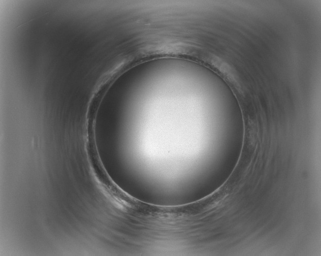 X0000068750486200605051544