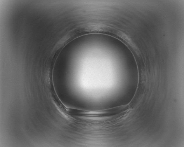 X0000068750489200605051544