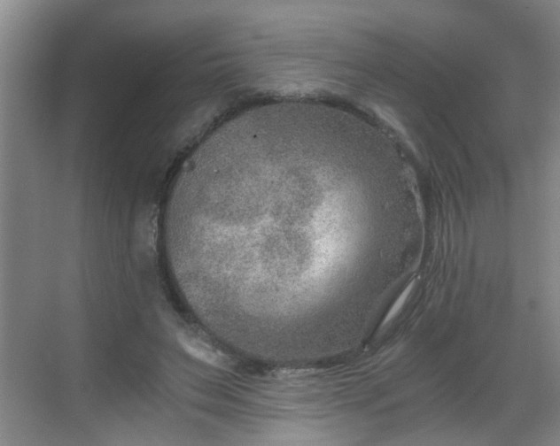 X0000068750495200605051544