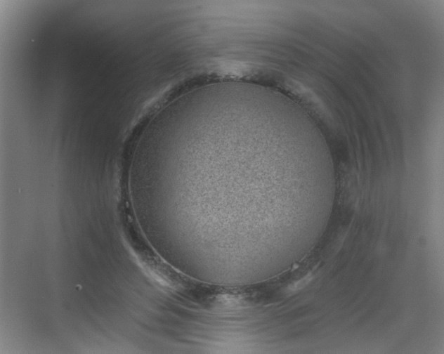 X0000068750496200605051544