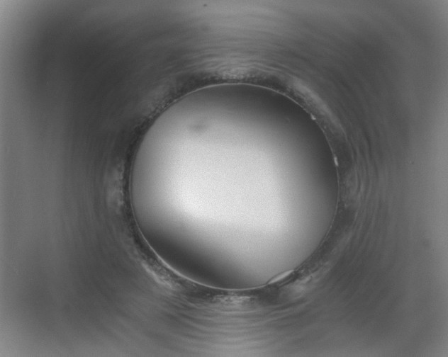 X0000068750497200605051543