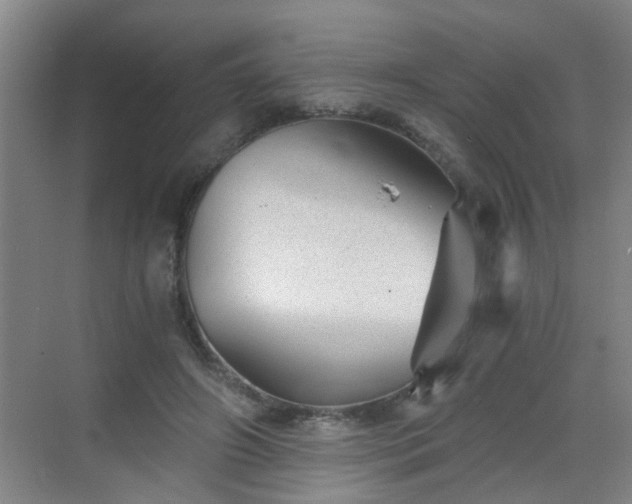 X0000068750498200605051543