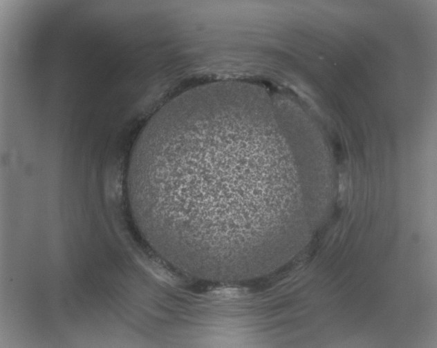 X0000068750499200605051543