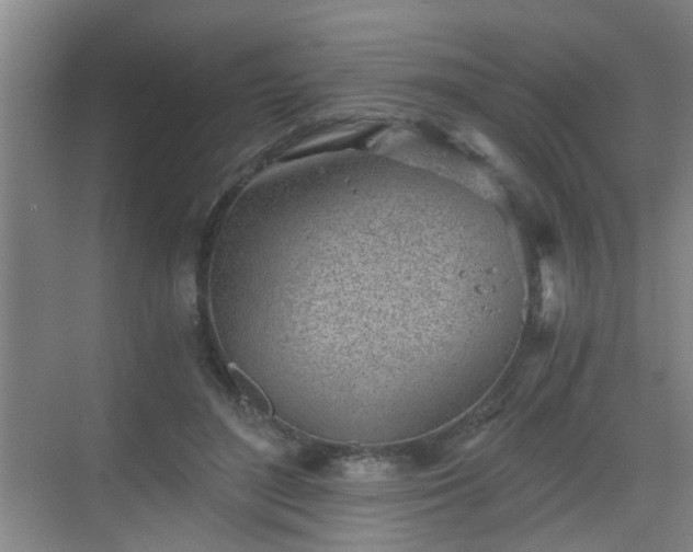 X0000068750500200605051543