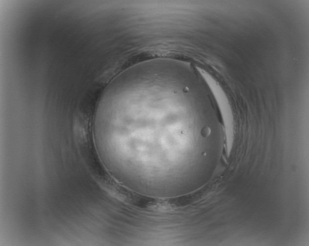 X0000068750503200605051543