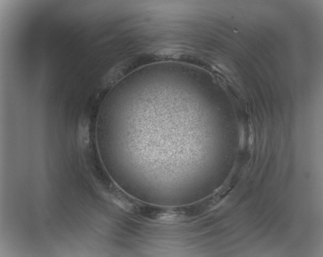 X0000068750504200605051543