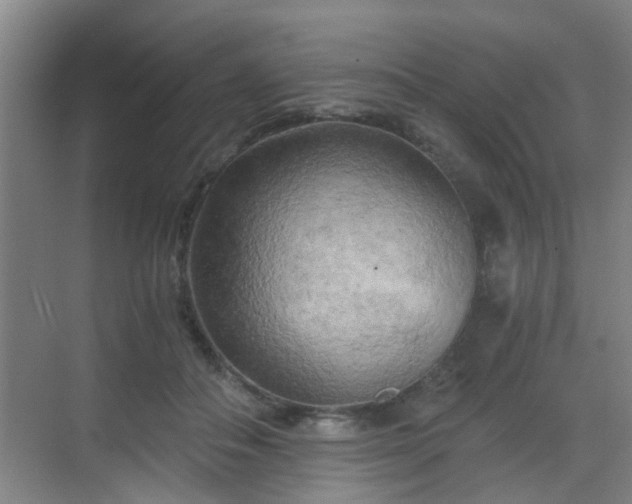 X0000068750506200605051543