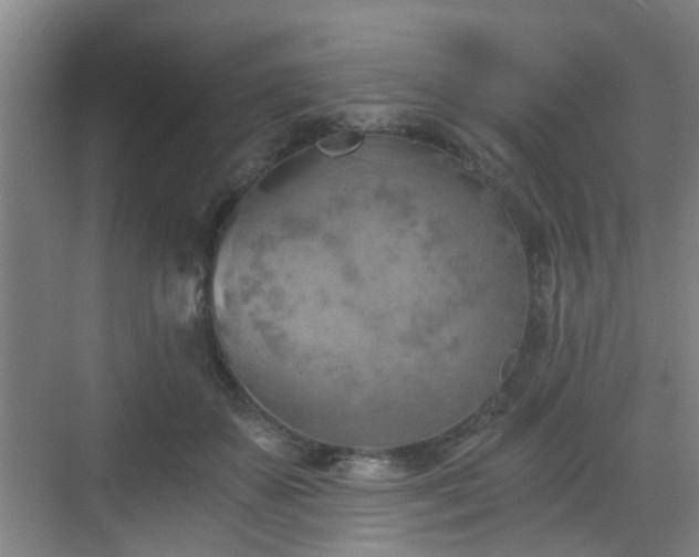 X0000068750507200605051543