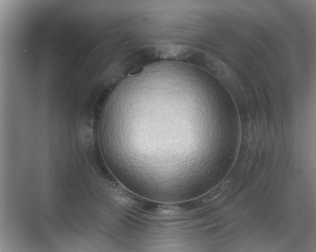 X0000068750510200605051543