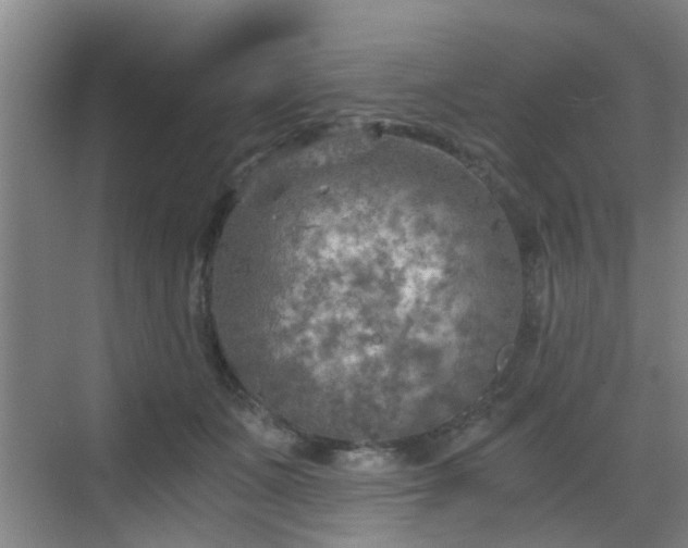 X0000068750511200605051543