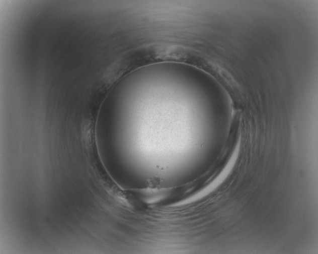 X0000068750513200605051543