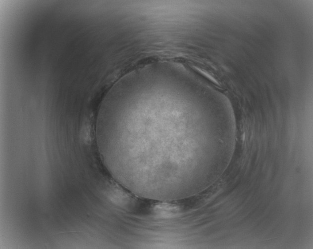 X0000068750515200605051543