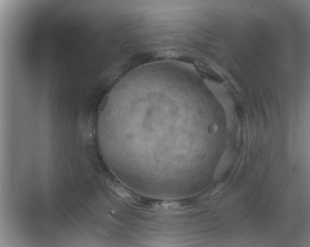 X0000068750517200605051543