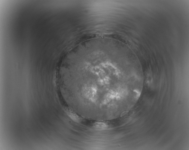 X0000068750519200605051543