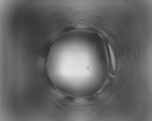 X0000068750521200605051543