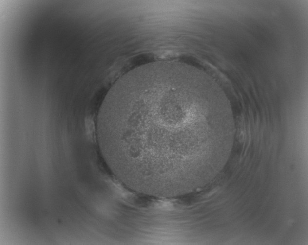 X0000068750523200605051543