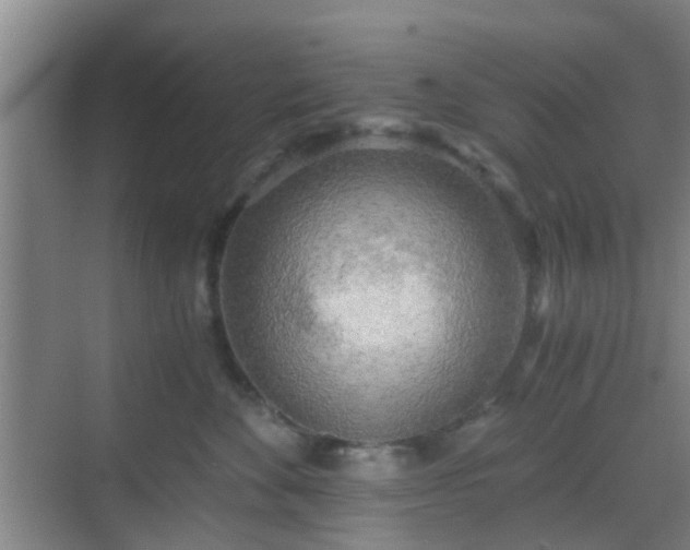 X0000068750524200605051543