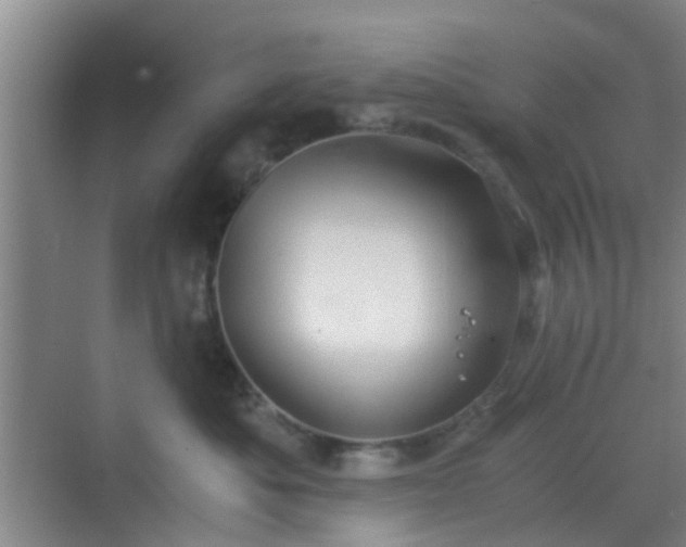 X0000068750525200605051543