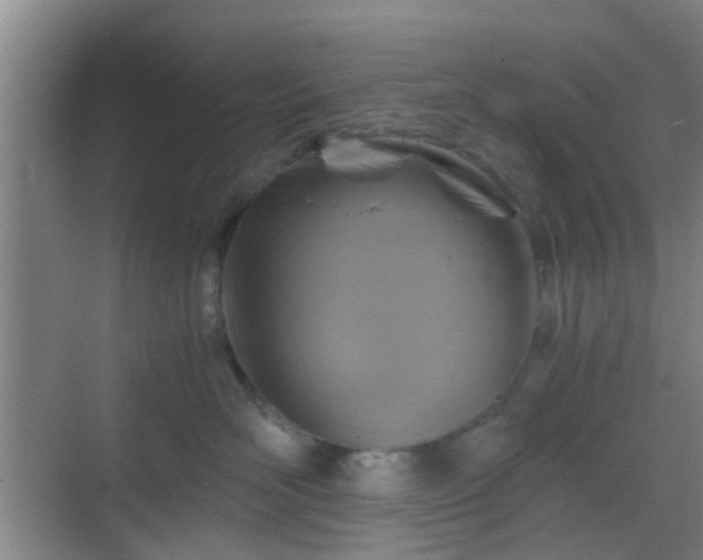 X0000068750526200605051543