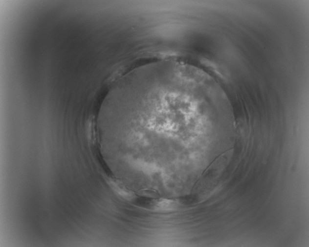 X0000068750527200605051543