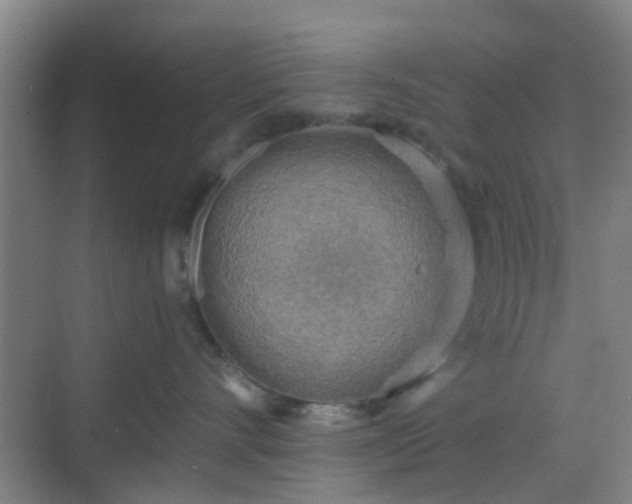 X0000068750528200605051543